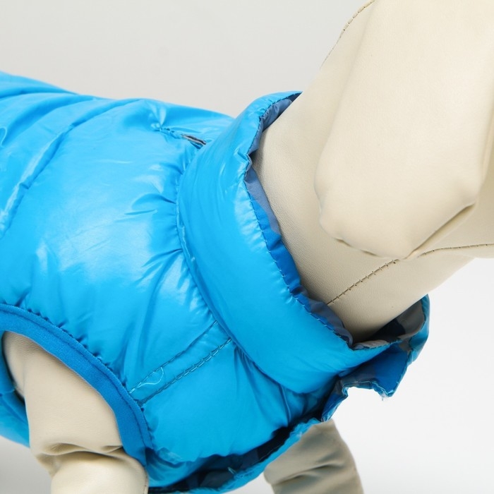 Куртка для собак двухсторонняя с принтом, размер 10 (ДС 25 см, ОГ 34 см, ОШ 24 см),голубая Куртка для собак двухсторонняя с принтом, размер 10 (ДС 25 см, ОГ 34 см, ОШ 24 см),голубая