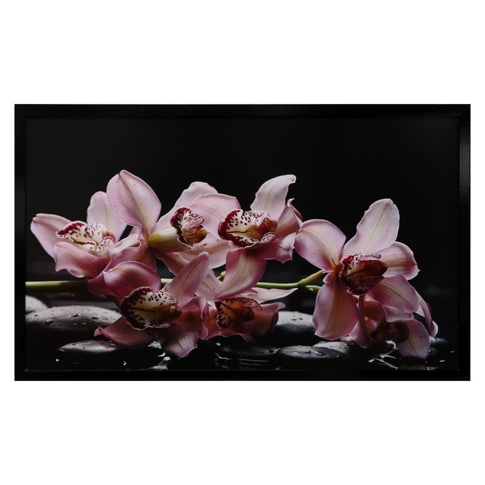 Картина  Картина "Цветы на камнях" 67х107 см рамка микс