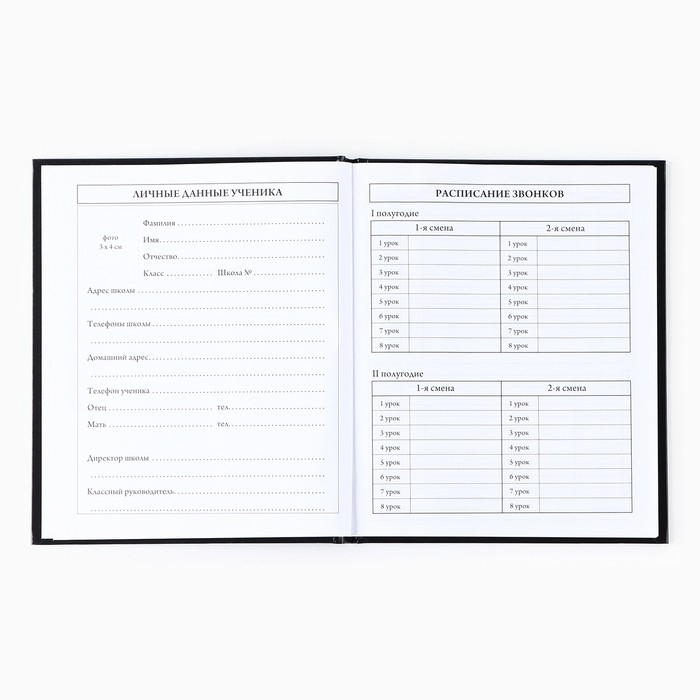 Дневник школьный для 1-11 класса, в твердой обложке, 40 л. «Знаний у меня не отнять» Дневник школьный для 1-11 класса, в твердой обложке, 40 л. «Знаний у меня не отнять»