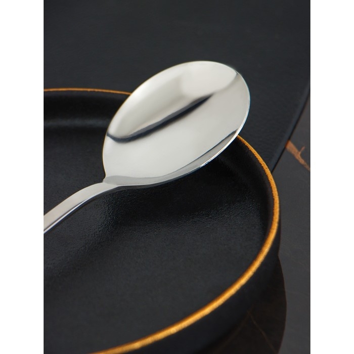 Ложка салатная из нержавеющей стали Доляна, длина 19,8 см, толщина 2,2 мм, 410 сталь, цвет серебряный Ложка салатная из нержавеющей стали Доляна, длина 19,8 см, толщина 2,2 мм, 410 сталь, цвет серебряный