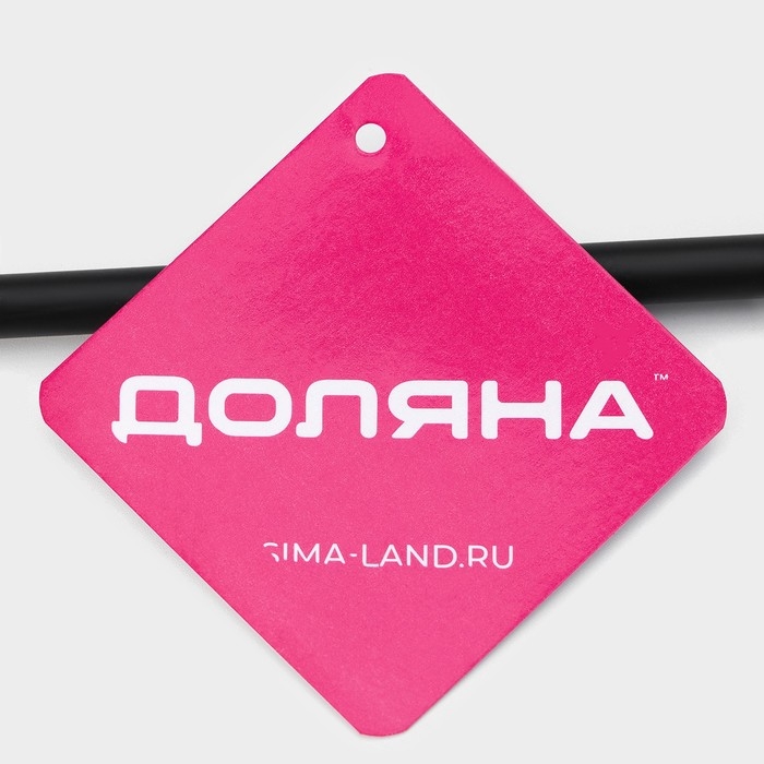 Держатель для полотенец Доляна, на дверцу, цвет чёрный