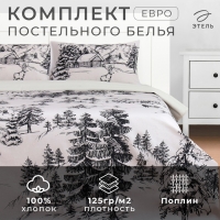 Постельное бельё «Этель» евро Winter landscape 200х217 см,220х240 см,50х70 см -2 шт, поплин