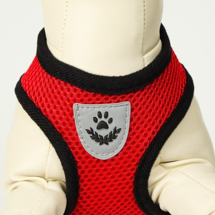 Комплект амуниции с мягкой шлейкой и светоотражающей нашивкой, XL, ОШ 40 см, ОГ 46-60 см, красный 76 Комплект амуниции с мягкой шлейкой и светоотражающей нашивкой, XL, ОШ 40 см, ОГ 46-60 см, красный 76