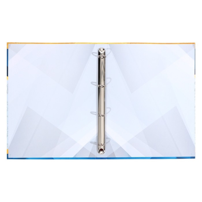 Папка школьная на кольцах «Портфолио ученика», без разделителей, 24,5 х 32 см.