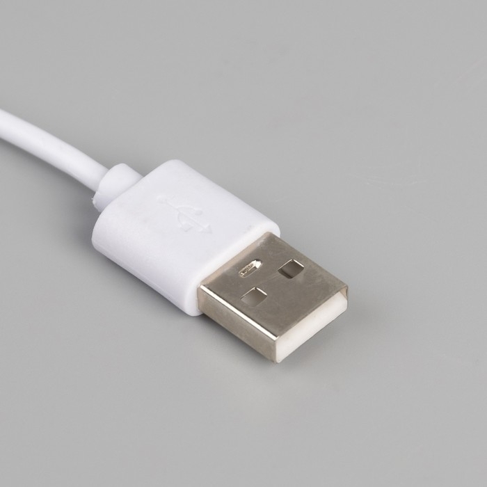 Светодиодная лента Luazon Lighting с сенсорным выключателем 5 м, IP65, SMD2835, 60 LED/м, USB, 4000К Светодиодная лента Luazon Lighting с сенсорным выключателем 5 м, IP65, SMD2835, 60 LED/м, USB, 4000К