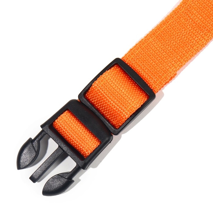 Ошейник с подсветкой размер S, ОШ 35-43 х 2,5 см, 3 режима свечения оранжевый Ошейник с подсветкой размер S, ОШ 35-43 х 2,5 см, 3 режима свечения оранжевый