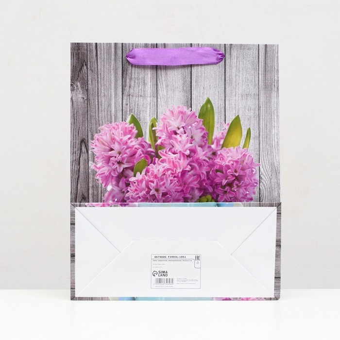 Пакет ламинированный, 26 x 32 x 12 см Пакет ламинированный, 26 x 32 x 12 см