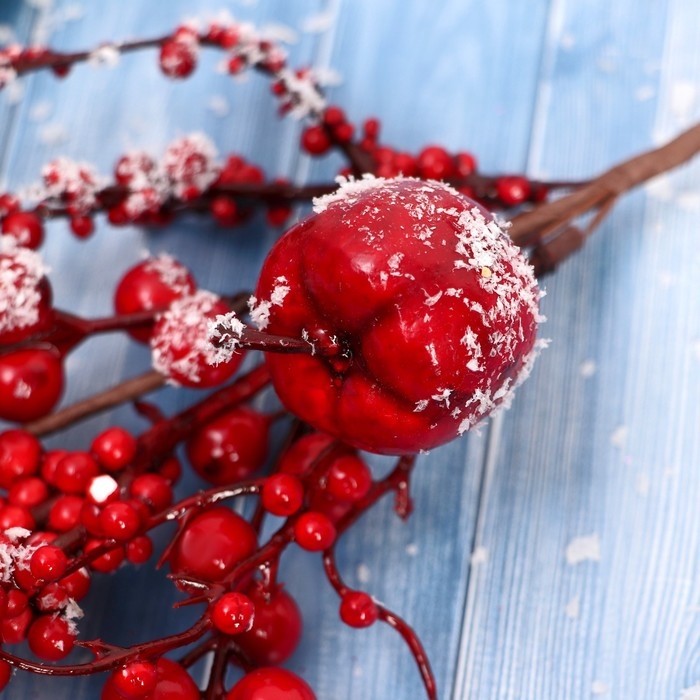 Декор Декор "Зимнее очарование" веточка с яблочком и ягодками, 30 см