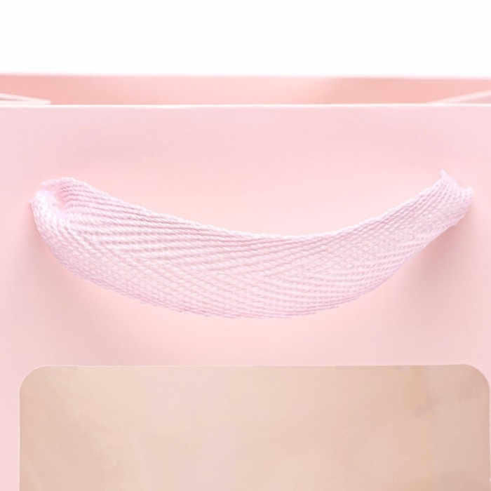 Пакет подарочный, с окном, 20 х 15 х 10 см, розовый 1шт. Пакет подарочный, с окном, 20 х 15 х 10 см, розовый 1шт.