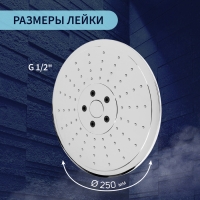 Лейка стационарная ZEIN Z3198, 3 режима, пластик, d=25 см, хром