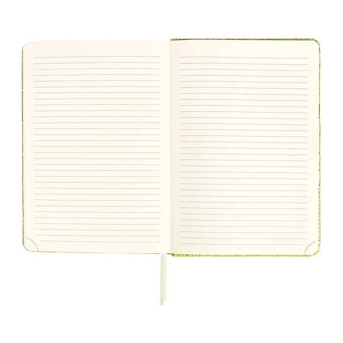 Ежедневник датированный 2025 года, A5, 168 листов, deVENTE. Barbara, твердая обложка кожзам с поролоном, перфорацией, ляссе, блок 70, зеленый Ежедневник датированный 2025 года, A5, 168 листов, deVENTE. Barbara, твердая обложка кожзам с поролоном, перфорацией, ляссе, блок 70, зеленый