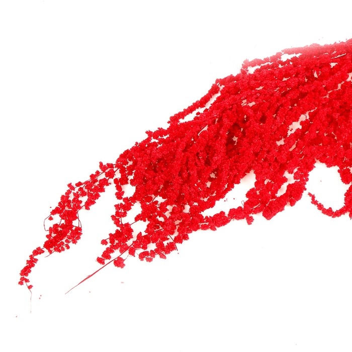 Сухие цветы амаранта, 100 г, размер листа: от 50 до 60 см, цвет красный Сухие цветы амаранта, 100 г, размер листа: от 50 до 60 см, цвет красный