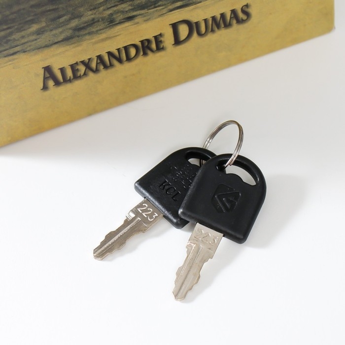 Сейф-книга дерево кожзам "Граф Монте-Кристо" 21х13х5 см