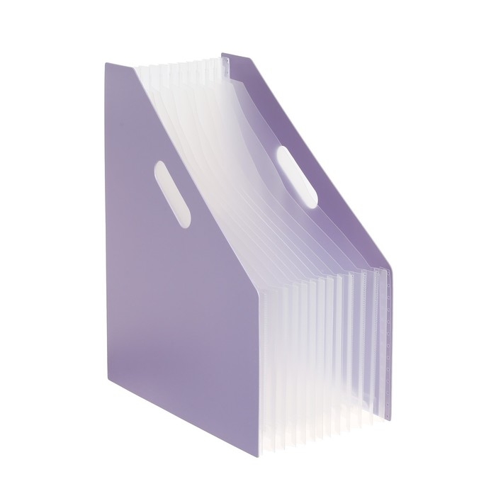 Лоток вертикальный для бумаг пластиковый А4 Calligrata, 12 отделений Лоток вертикальный для бумаг пластиковый А4 Calligrata, 12 отделений