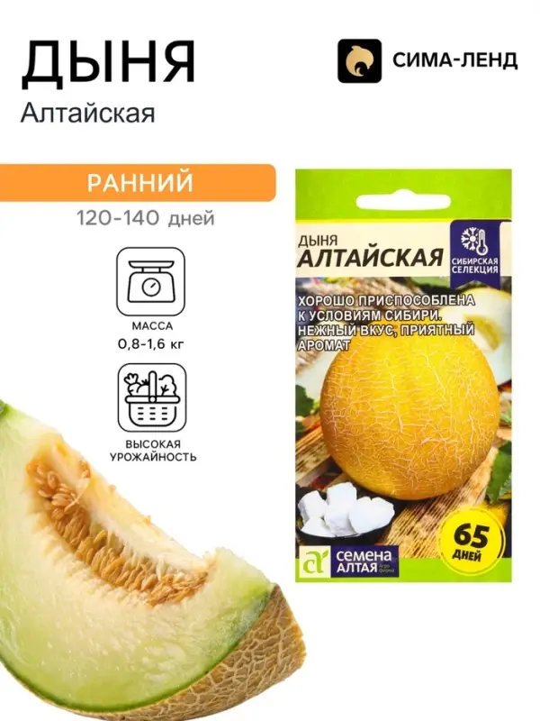 Семена Дыня &laquo;Алтайская&raquo;, цветной пакет, 0.5 г
