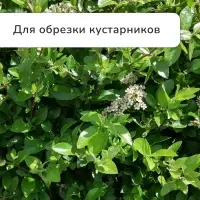 Сучкорез профессиональный, 27.5&minus;40.5" (70.5&minus;103 см), телескопический, с пластиковыми ручками, МИКС, Greengo