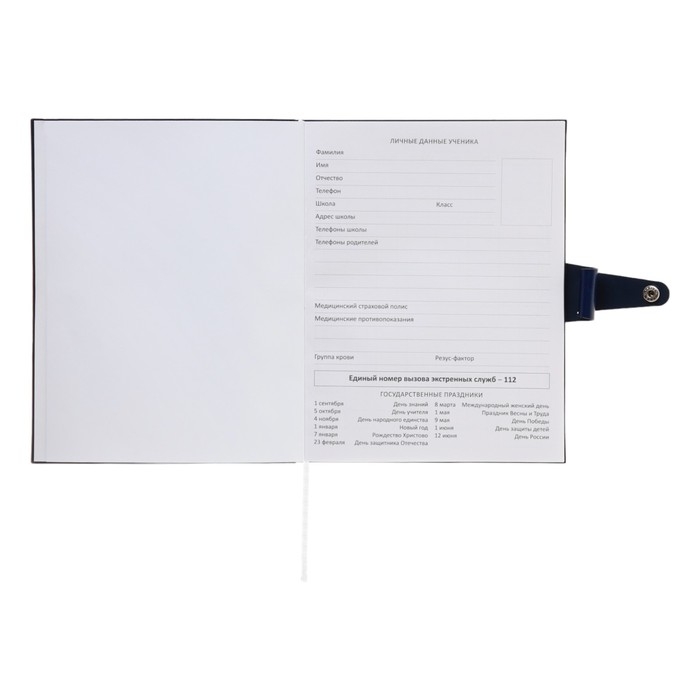 Дневник универсальный для 1-11 класса Favorite, мягкая обложка, на кнопке, искусственная кожа, тиснение фольгой, хлястик, ляссе, 48 листов