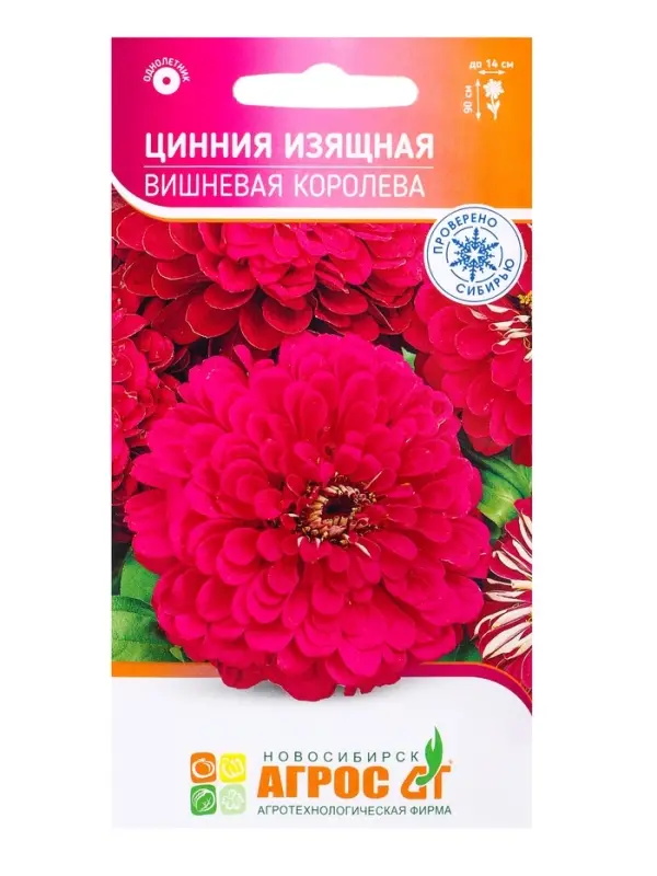Семена Цинния &laquo;Изящная Вишневая Королева&raquo;, 0.5 г, &laquo;Агрос&raquo;