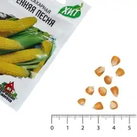 Семена Кукуруза сахарная &laquo;Утренняя песня&raquo;, 5 г, &laquo;Удачные семена&raquo;