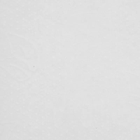 Бумага протирочная Protissue 1000л/рул 350м С241 2рул/уп