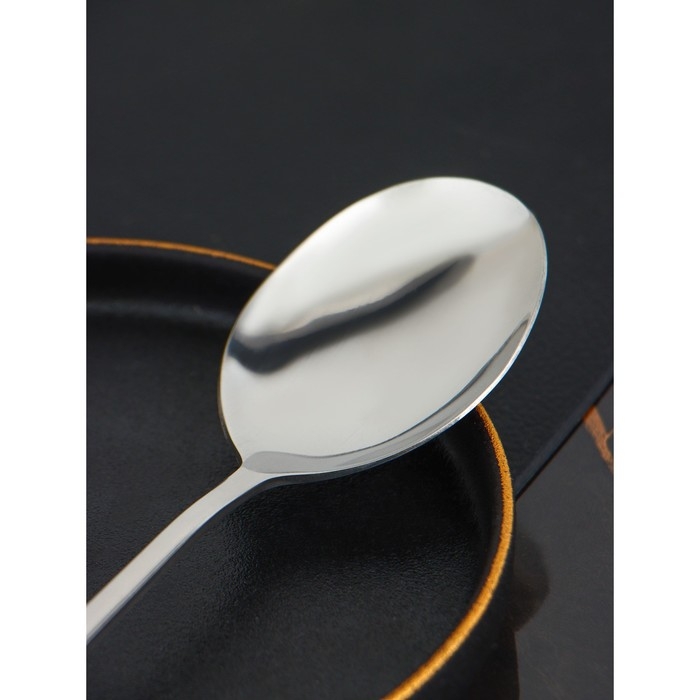 Ложка гарнирная из нержавеющей стали Доляна, h=22 см, толщина 2,2 мм, 410 сталь Ложка гарнирная из нержавеющей стали Доляна, h=22 см, толщина 2,2 мм, 410 сталь