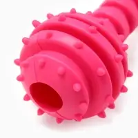 Жевательная игрушка для собак &laquo;Чемпион&raquo;, 12.5 см, TPR, розовая