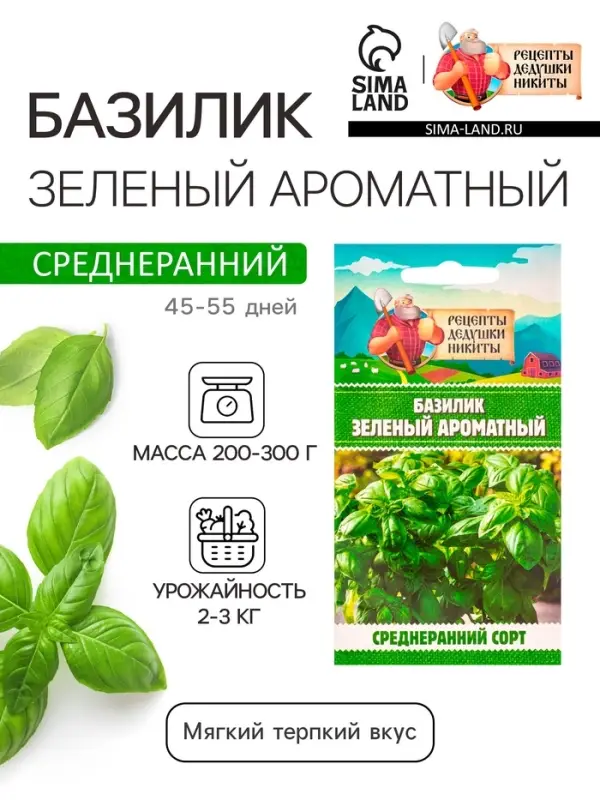 Семена Базилик &laquo;Зелёный ароматный&raquo;, 0.1 г, среднеранний, &laquo;Рецепты дедушки Никиты&raquo;