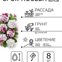 Семена цветов Петуния бахромчатая, крупноцветковая &laquo;Шампань&raquo; F1, 7 шт.