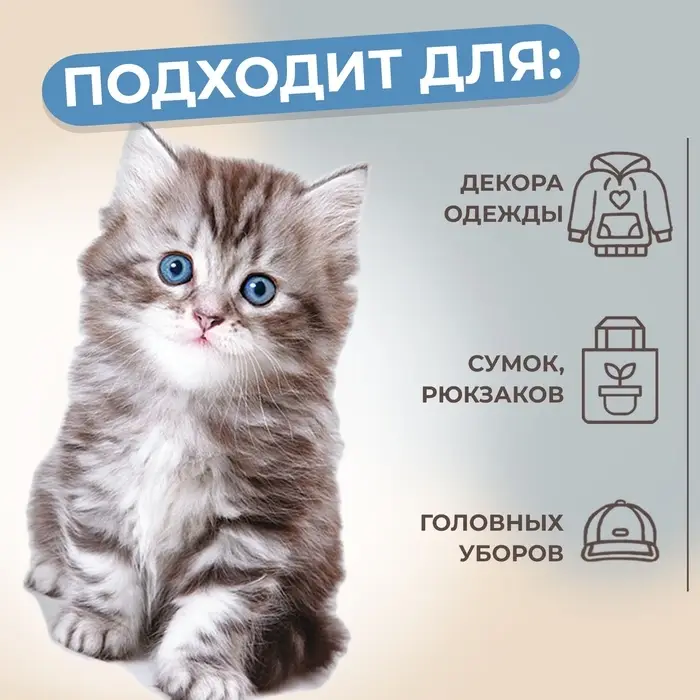 Термонаклейка &laquo;Котёнок&raquo;, 11.6&times;19 см