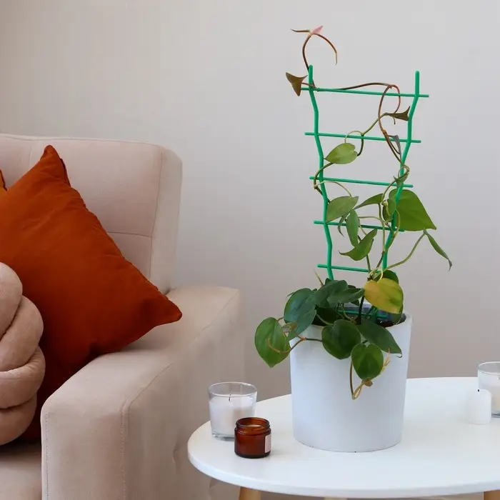 Шпалера, 47×19×0.5 см, пластик, зелёная Шпалера, 47×19×0.5 см, пластик, зелёная