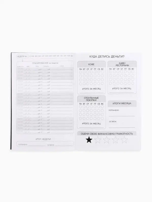 Блокнот для планирования финансов А6, 52 л  Блокнот для планирования финансов А6, 52 л "Дневник бюджета"