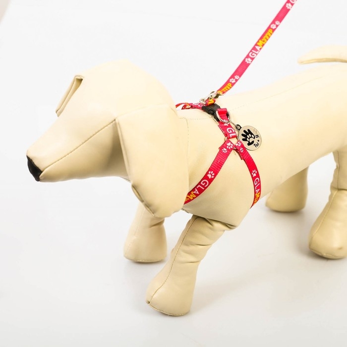 Комплект «Ты и я», шлейка 26-39 см, поводок 120х1 см, медальон