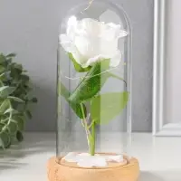 Фигурка световая колба RISALUX &laquo;Роза&raquo;, LED - ночник, 3&times;ААА, белый, 9.5&times;9.5&times;19.5 см