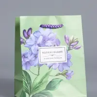 Пакет подарочный "Вдохновение" ламинированый 11,5 х 14,5 х 6,5 см