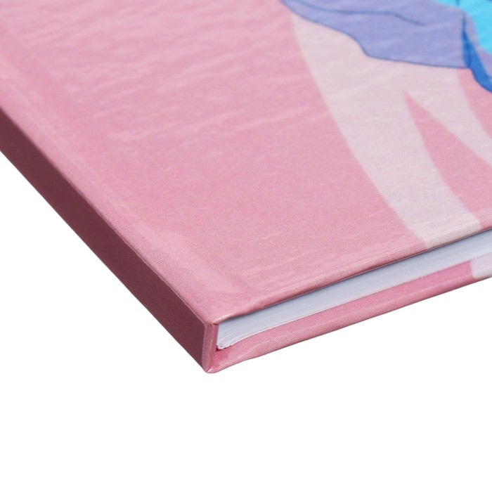 Дневник универсальный для 1-11 классов Дневник универсальный для 1-11 классов "Аниме. Нежная девочка", твёрдая обложка, глянцевая ламинация, 40 листов