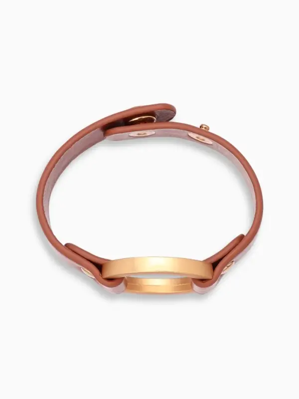 Браслет кожаный &laquo;Помпеи&raquo;, L=21 см, заклёпки, коричневый в золоте