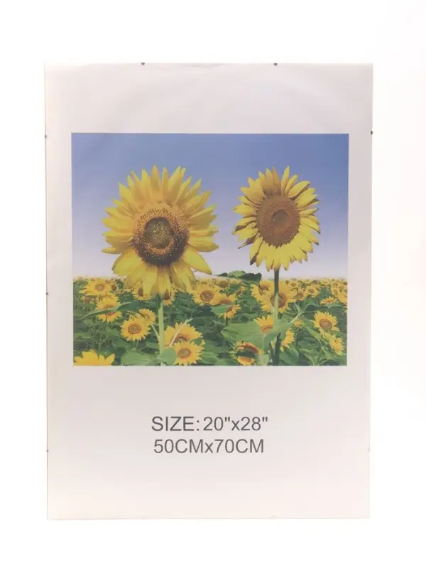 Фоторамка прозрачная для фото 50&times;70 см, &laquo;Клип&raquo;, пластиковый экран