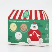 Бомбочки для ванны в домике «Медведь», набор 6 шт х 40 г, URAL LAB