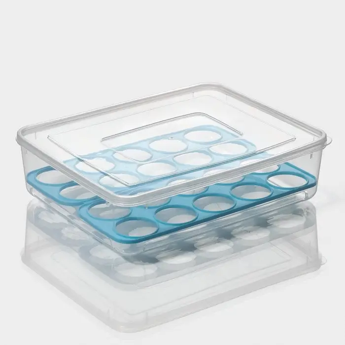 Контейнер для хранения яиц Доляна, 20 ячеек, 27.5&times;22&times;7 см, пластик, прозрачный, голубой