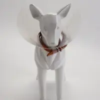 Ветеринарный воротник с креплением на ошейник, ОШ 13-28.5 см, высота 15 см, без ошейника