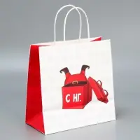 Набор новогодних пакетов &laquo;Пусть мечты сбудутся&raquo;