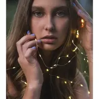 Гирлянда &laquo;Нить&raquo; 2 м роса, IP20, серебристая нить, 20 LED, батарейки CR2032&times;2 (в комплекте), свечение тёплое белое