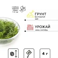 Семена Укроп &laquo;Аллигатор&raquo;, 4 г, &laquo;1+1 Гавриш&raquo;
