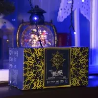 Гирлянда &laquo;Бахрома&raquo; 3&times;0.6 м, IP44, УМС, тёмная нить, 160 LED, свечение синее, 220 В