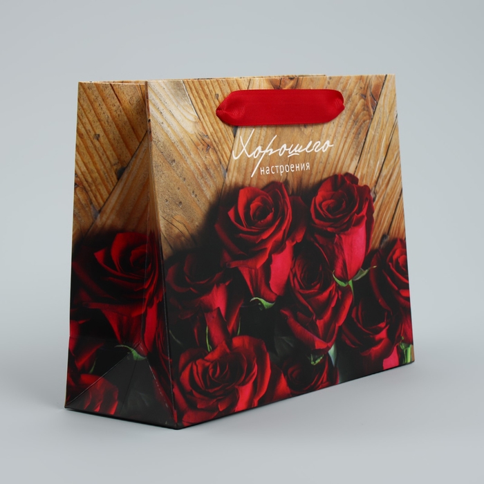 Пакет подарочный ламинированный, упаковка, «Хорошего настроения», 22 х 17.5 х 8 см Пакет подарочный ламинированный, упаковка, «Хорошего настроения», 22 х 17.5 х 8 см