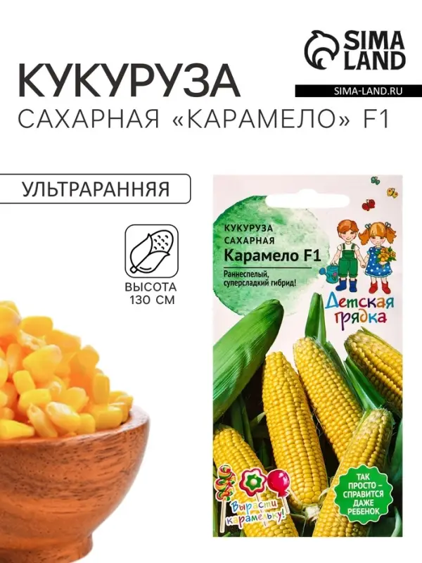 Семена Кукуруза &laquo;Карамело&raquo;, 5 шт., серия &laquo;Детская грядка&raquo;, &laquo;Агросидстрейд&raquo;