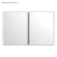 Папка-портфолио с 40 вкладышами А4, 550 мкм, ErichKrause Rose Flamingo, спираль, с рисунком