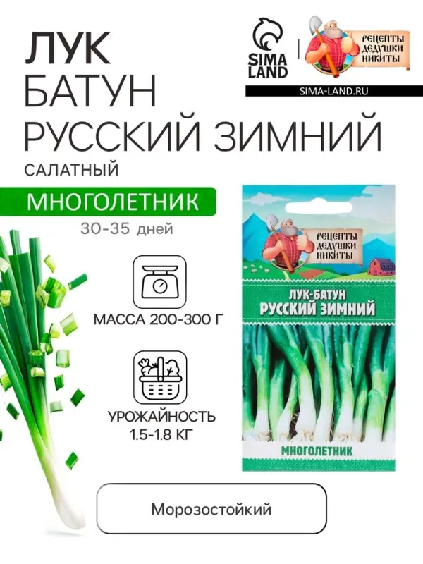 Семена Лук-батун &laquo;Русский зимний&raquo;, 0.5 г, многолетник, &laquo;Рецепты дедушки Никиты&raquo;