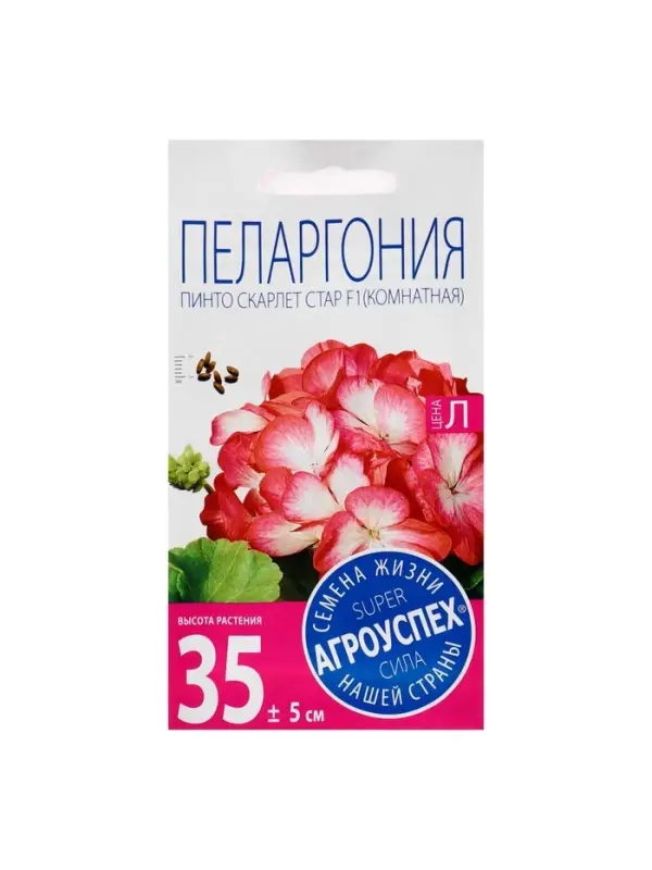 Семена цветов Пеларгония &laquo;Пинто Скарлет Стар&raquo;, F1, 4 шт., &laquo;Агроуспех&raquo;
