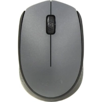Мышь компьютерная Logitech беспроводная M170, Gray [910-004646